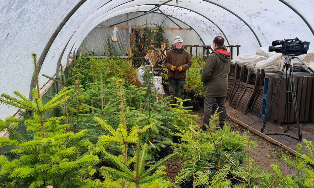 BBC interview in the polytunnel