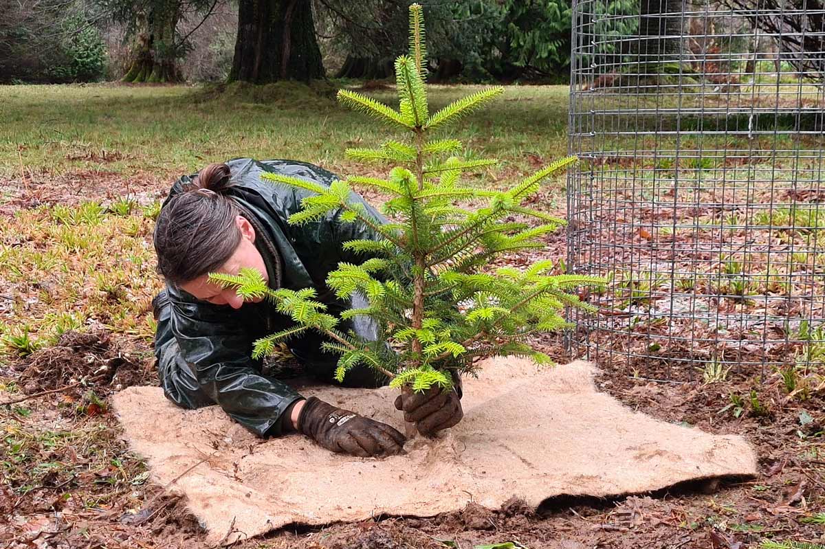 Trees for the Future Armadale Castle