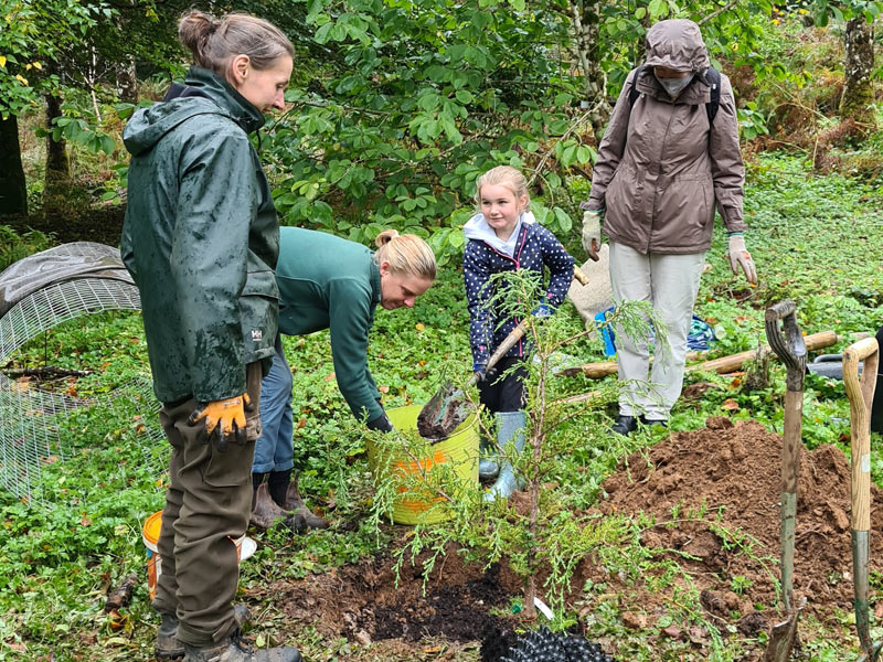 Local youngsters help plant a new generation of trees