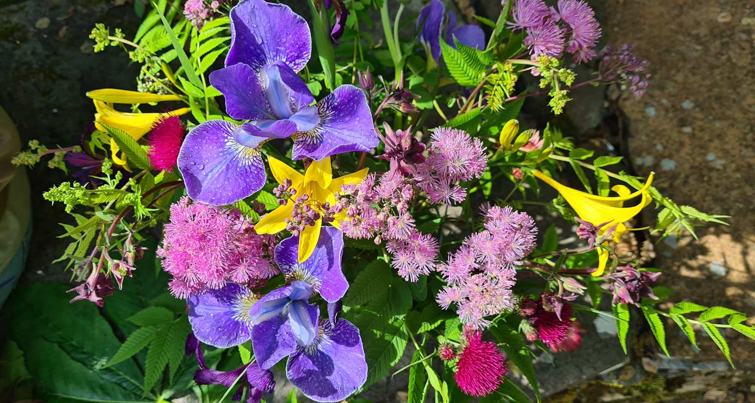 Colourful bunch of flowers from Armadale Castle Gardens