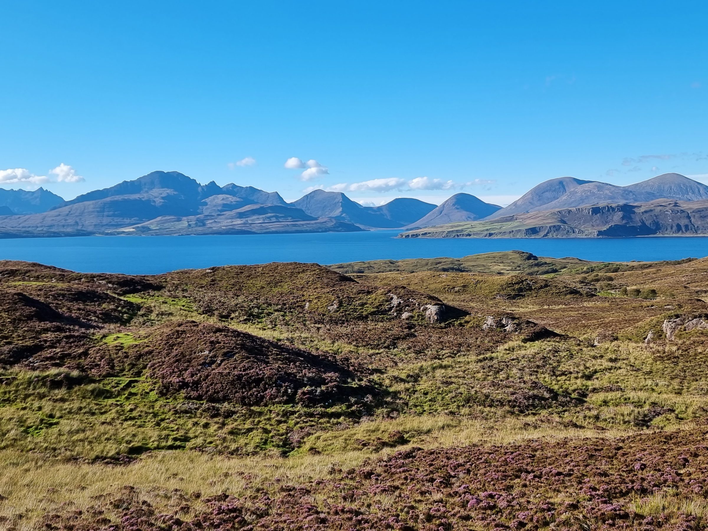 Armadale venison back in the shop Armadale Castle